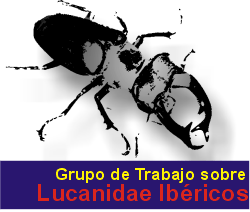 GTLI - Grupo de Trabajo sobre Lucanidae Ibéricos