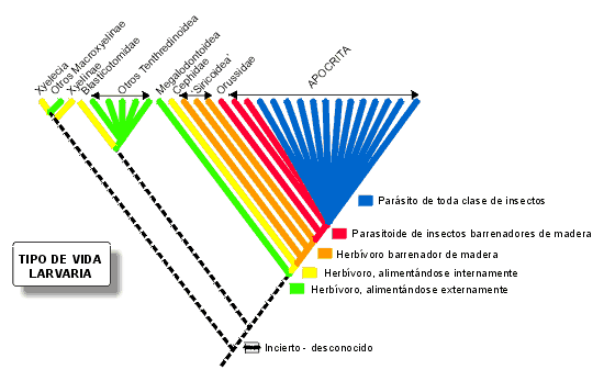 ebook Einführung in die